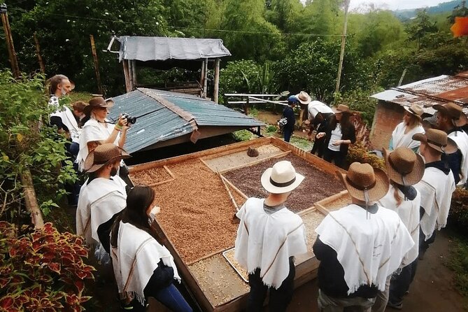 Salento and Cócora Tour plus Coffee Farm from Pereira or Armenia - Valle del Cocora walk: Wax palms, condor habitat, and a guided rhythm