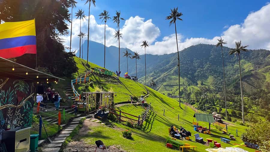 Salento, Cocora and Filandia Full Plan from Pereira/Armenia - Cocora Valley: Wax Palms and the Palm-Forest Tickets That Matter