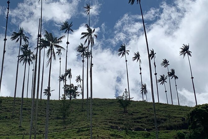 Salento, Cocora and Filandia Private Tour from Pereira or Armenia - Planning Your Day From Pereira or Armenia