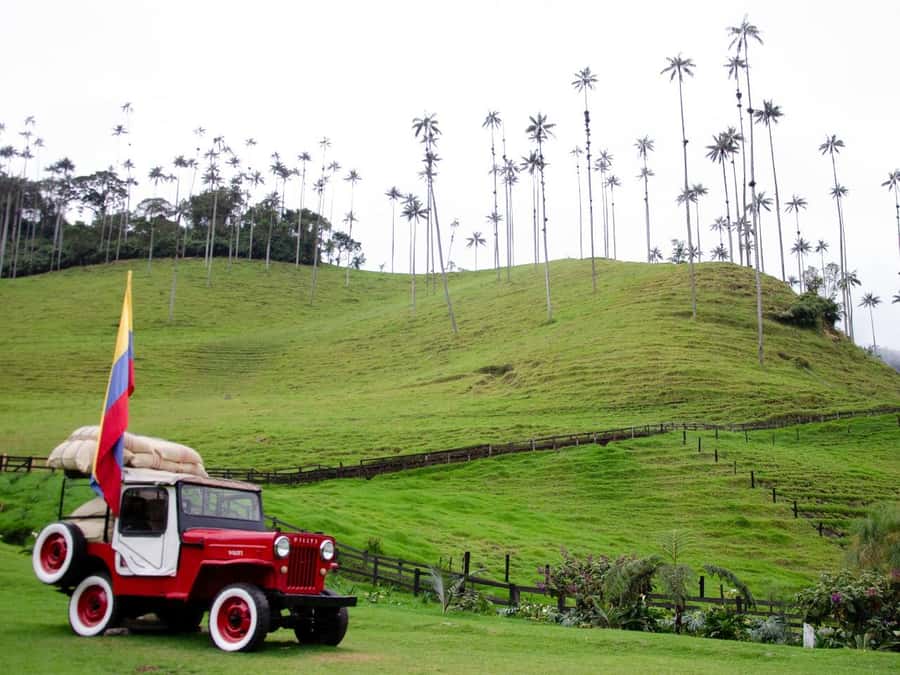 Salento, Cocora and Filandia Tour from Pereira or Armenia - Cocora Valley Palm Forest Entrance: Where the Views Feel Huge