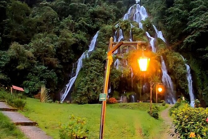 Salento, Cócora and Hot Springs Tour from Pereira or Armenia - Cocora Valley wax palms, plus the freedom to choose your pace