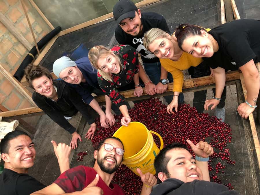Salento: Coffee Farm Tour with Tasting - Getting to the Farm: Pickup in Filandia and the Pace of the Day