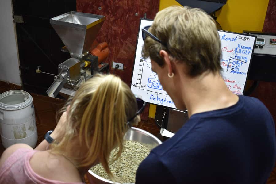 Salento: Coffee Master Roasting, Brewing and Tasting Tour - Key things you will do and learn