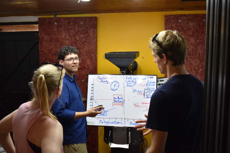 Salento: Coffee Master Roasting, Brewing and Tasting Tour - Who This Coffee Tour Suits Best