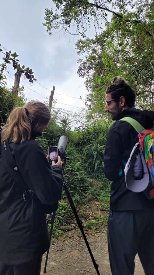 Salento: hike to learn about Birds - Key things that make this Salento birding hike worth it