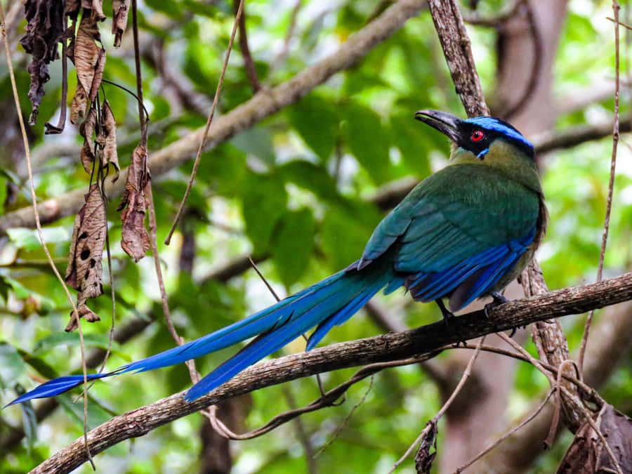 Salento: hike to learn about Birds - Why birding outside Salento feels different when it is taught, not just done