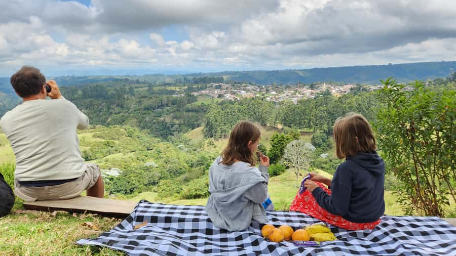 Salento: hike to learn about Birds - The spotting portion: how the guide steers you toward motmots, tanagers, flycatchers, and hummingbirds