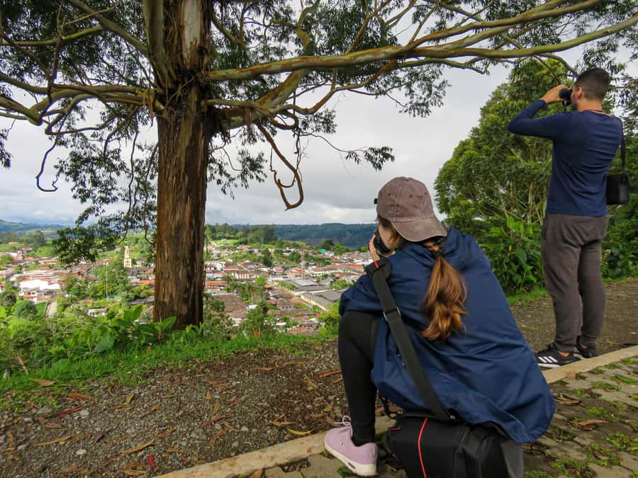 Salento: hike to learn about Birds - How many birds you might see, and what that means for first-timers