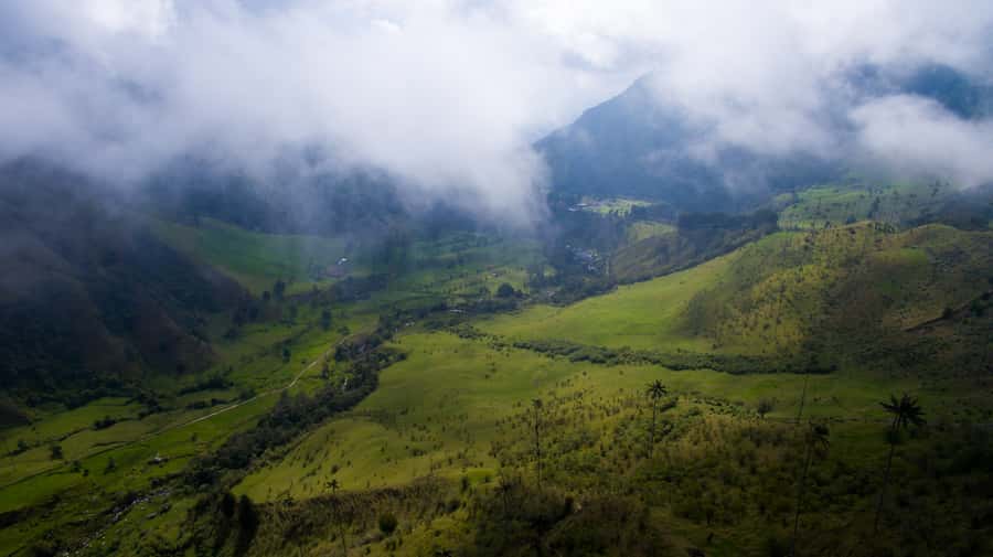 Salento/Pereira: Cocora Valley & Salento Hiking Private Tour - Valle del Cocora and the Quindio wax palm, why it hits so hard