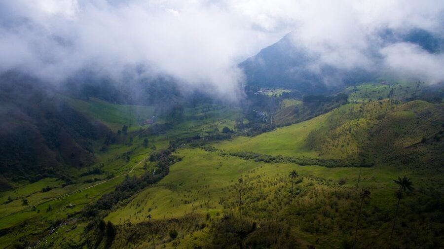 Salento/Pereira: Cocora Valley & Salento Hiking Private Tour - Salento on the same day: why pairing the town with the hike works