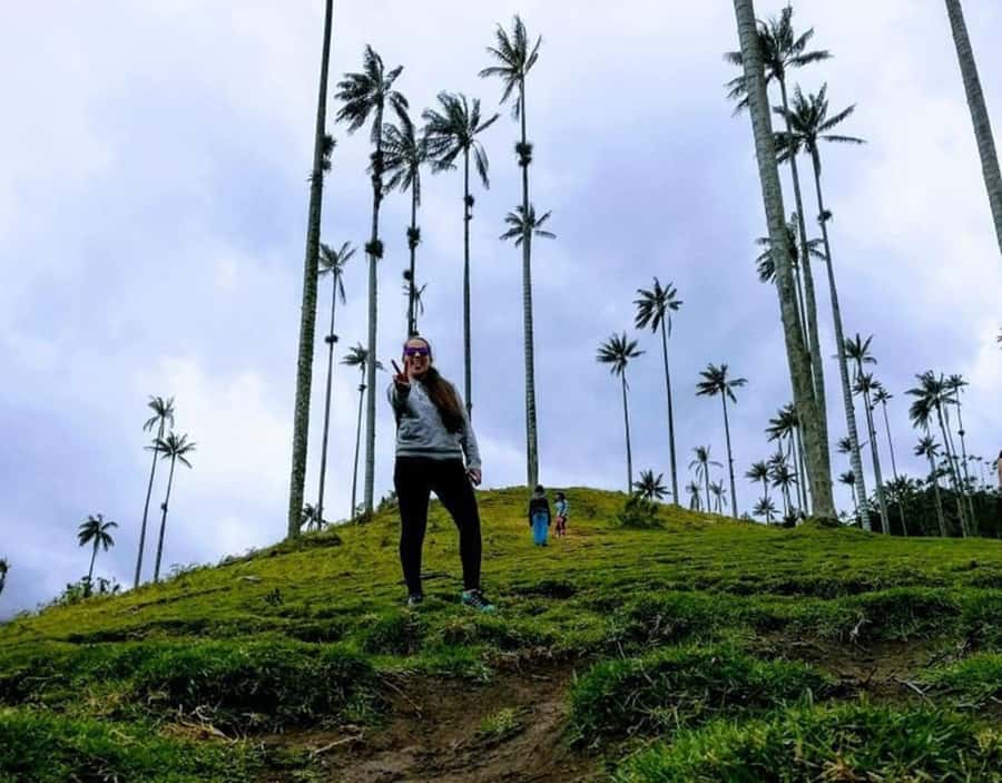 Salento/Pereira: Cocora Valley & Salento Hiking Private Tour - The 6-hour flow: pickup, valley entry, viewpoints, and Salento