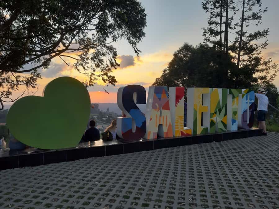Salento: Private Cocora Valley, Salento & Coffee Farm Tour - From Armenia, Salento, or Filandia to Cocora Valley’s Wax Palm Entrance