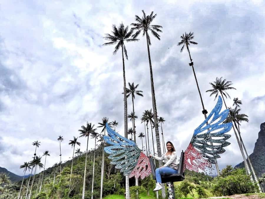 Salento: Private Cocora Valley, Salento & Coffee Farm Tour - Coffee Triangle Context: What Your Guide Adds Beyond the Trail