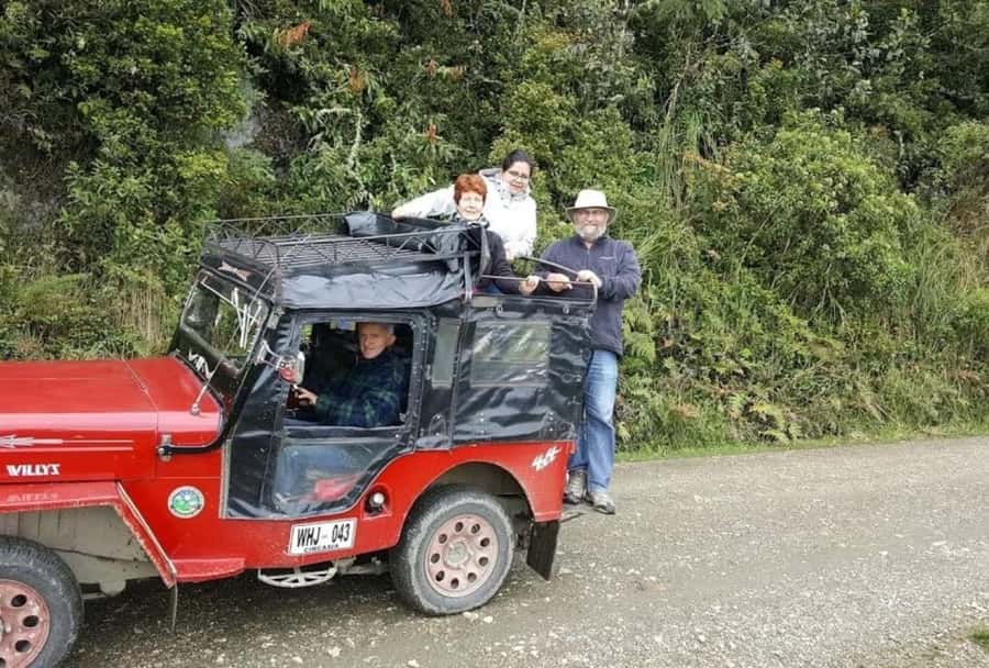 Salento: Salento & Cocora Valley Tour - Key highlights you should care about