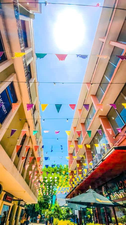 Salida de Cartagena: City Tour a Barranquilla & Santa Marta - Price and value for $90: when this tour is a great deal
