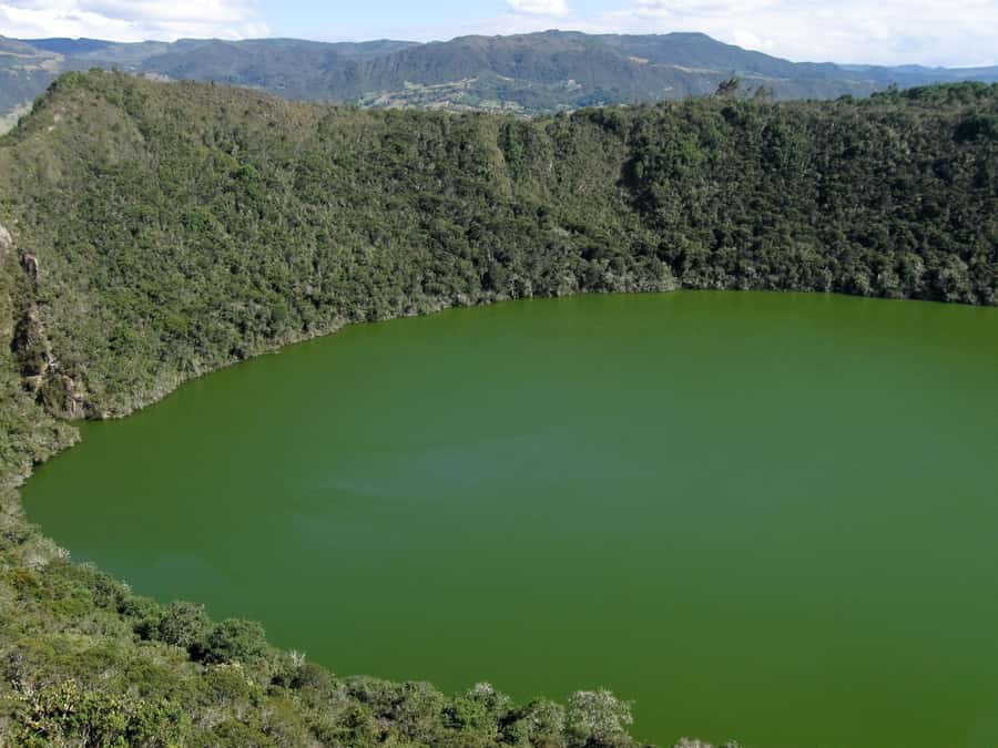 Salt Cathedral and Guatavita Lake with Lunch and Guide - How Much Value You Actually Get for $122