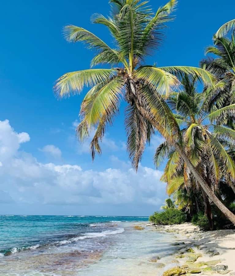 SAN ANDRES: BOAT TRANSFER + JOHNNY CAY - Quick Take: What Happens in 4 Hours