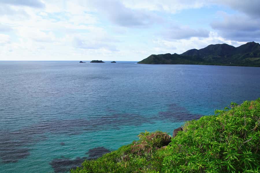 San Andrés: Guided Cays and Mangroves Tour - Key highlights to look for on this San Andrés day