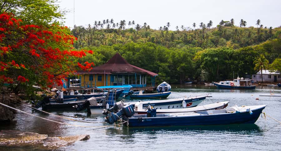 San Andrés: Guided Cays and Mangroves Tour - Price and value: what $30 covers, and what you should budget for