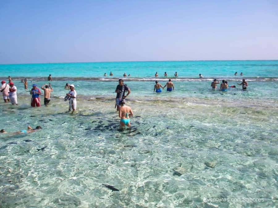 San Andres: Natural Aquarium Tour - Tour logistics that can make or break your day