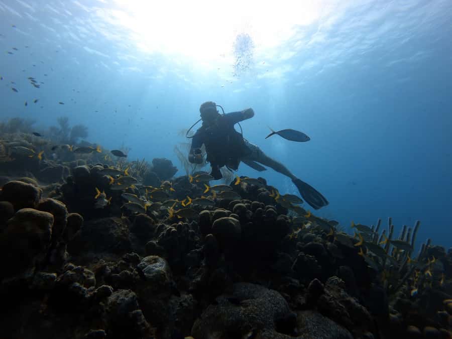 San Andres: Scuba Diving Experience with Hotel Pickup - Key Things I’d Watch For