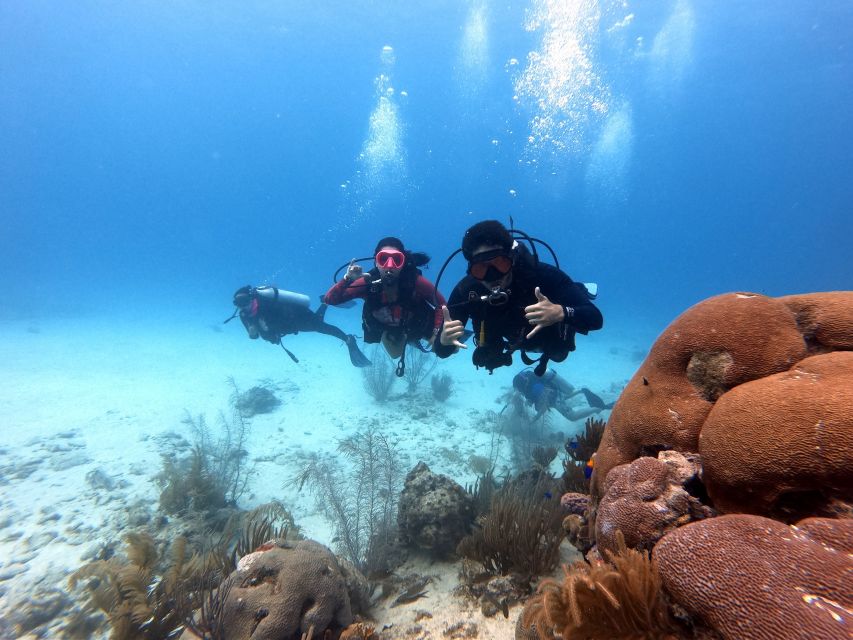 San Andres: Scuba Diving Experience with Hotel Pickup - Language, Instructor Style, And Feeling Safe