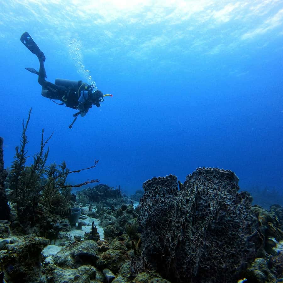 San Andres: Scuba Diving Experience with Hotel Pickup - Why Big Mamá And The Underwater Museum Matter