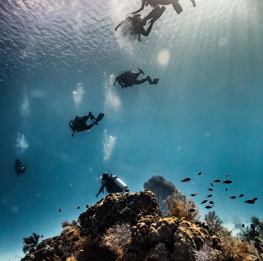 San Andres: Scuba Diving Experience with Hotel Pickup - The 3-Hour Flow: Training First, Then Your First Underwater Excursion