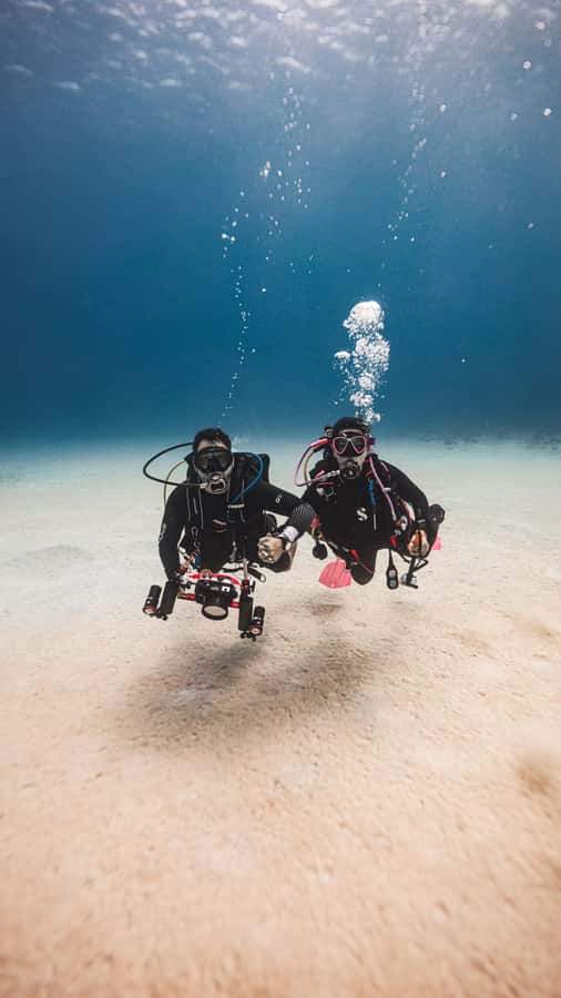 San Andres: Scuba Diving Experience with Hotel Pickup - Price And Value: Is $50 A Good Deal