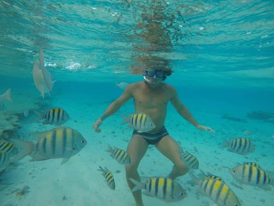 San Andres: Transfer by Boat + Natural Aquarium - Weather and Crowd Reality: Wind, Overcrowding, and How to Stay Sane