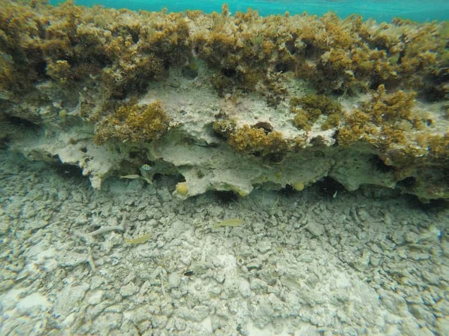 San Andres: Transfer by Boat + Natural Aquarium - Practical Packing List for the San Andrés Water Day