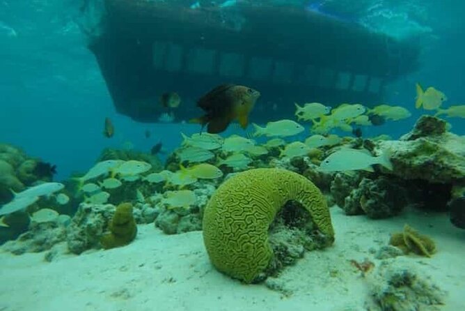 San Andres Underwater Tour with Glass Bottom - Price and Value: Is $48 a Fair Deal?