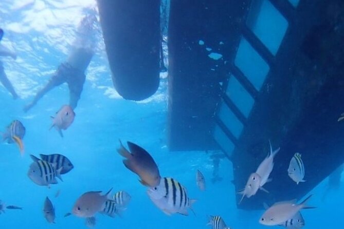 San Andres Underwater Tour with Glass Bottom - What You Should Expect On Board (and What to Pack)