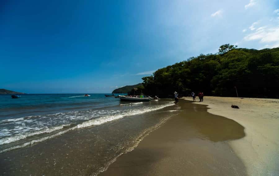 Santa Marta and Tayrona Park Day Trip - Playa Siete Olas viewpoint: the fast “get your bearings” moment