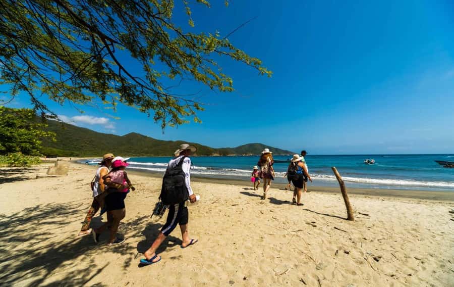 Santa Marta and Tayrona Park Day Trip - The beaches and ecosystems you’ll actually see