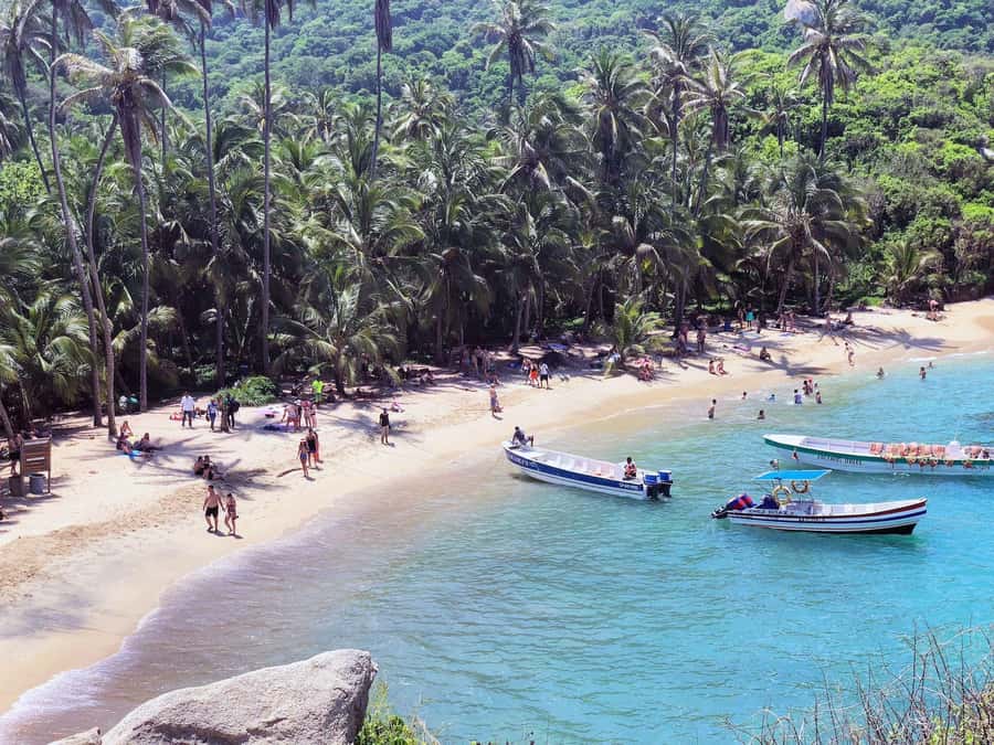 Santa Marta: Cape San Juan del Guía Tour in Tayrona Park - Inside Tayrona: the shady hike, wildlife time, and the culture angle