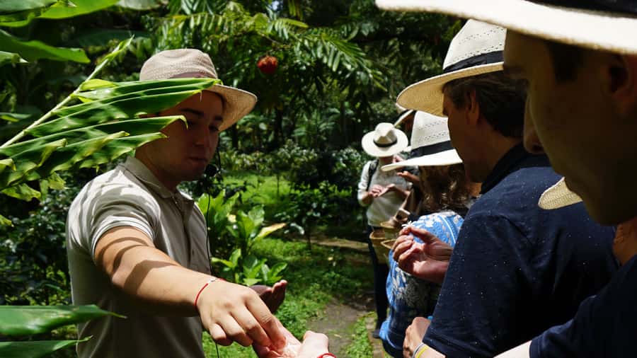 Santa Marta: Minca Coffee, Cocoa, & Waterfall Full-Day Trip - Key highlights you’ll actually feel on the day