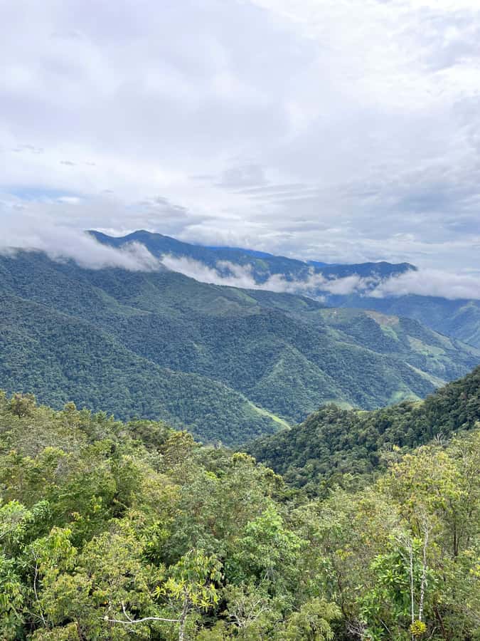Santa Marta: Minca Coffee, Cocoa, & Waterfall Full-Day Trip - What to bring (and what to skip) for a day like this