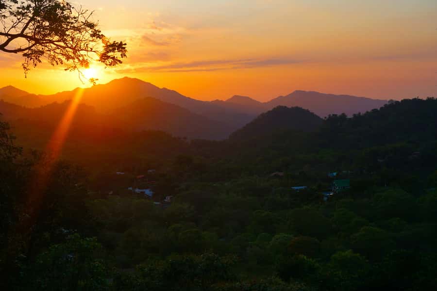 Santa Marta: Minca Coffee, Cocoa, & Waterfall Full-Day Trip - Coffee tasting that actually teaches: plantation explanations plus your cup