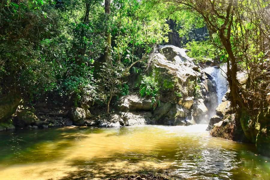 Santa Marta: Minca Coffee, Cocoa, & Waterfall Full-Day Trip - Lunch at a bamboo restaurant with mountain views