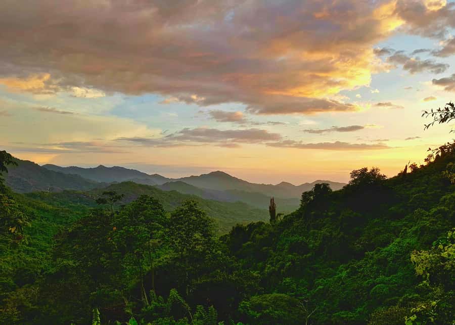 Santa Marta: Minca Coffee, Cocoa, & Waterfall Full-Day Trip - Cocoa workshop and making your own chocolate bar