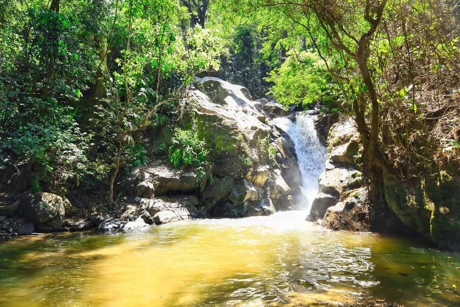 Santa Marta: Minca Coffee, Cocoa, & Waterfall Full-Day Trip - The final hike and return to Santa Marta