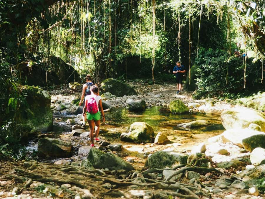 Santa Marta: Multi-Day Trek to The Lost City - Day 3 and the Lost City: the 1,200 steps moment