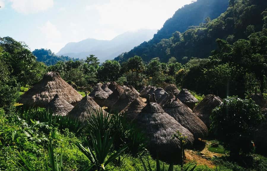 Santa Marta: Multi-Day Trek to The Lost City - Food, water, and what is included (and what isn’t)