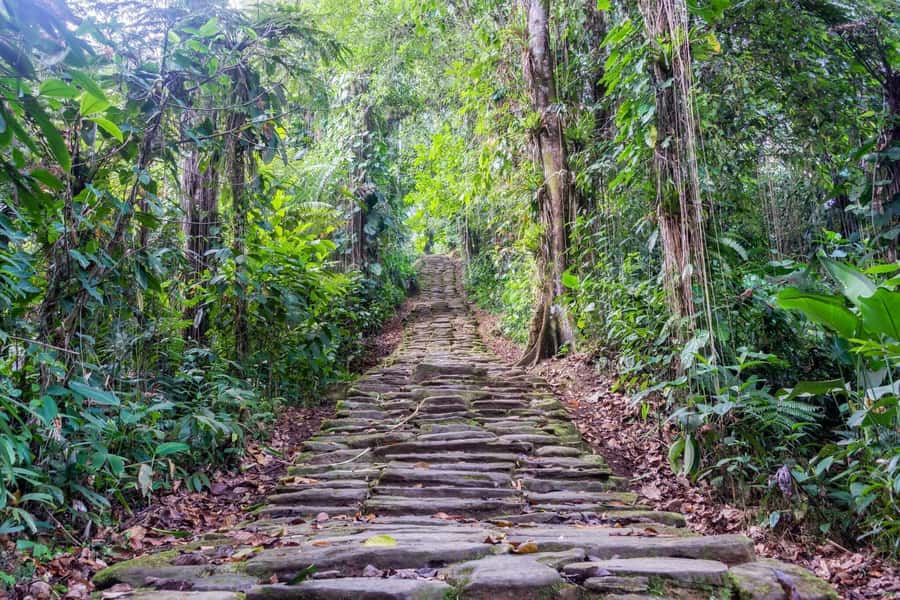 Santa Marta: Multi-Day Trek to The Lost City - Getting to El Mamey: the 4x4 start and first jungle rhythm