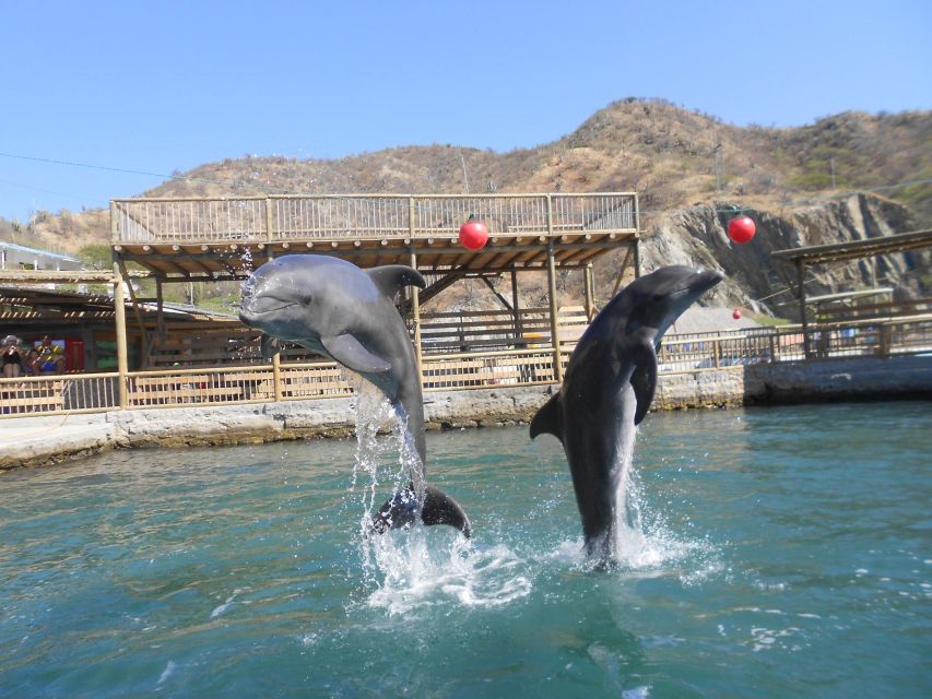 Santa Marta: Museum of the Sea and Playa Blanca Beach Tour - Included vs not included: what $89 is really covering