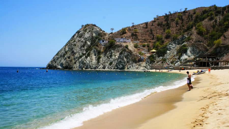 Santa Marta: Museum of the Sea and Playa Blanca Beach Tour - The Playa Blanca transfer: boat timing is part of the deal