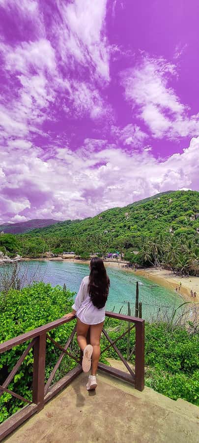 Santa Marta: Playa Cristal in Tayrona Parque Day Tour - Santa Marta to the park entrance: pickups, timing, and the intro you should pay attention to