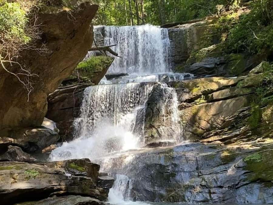 Santa Marta: Trekking in Minca Complete Waterfall Circuit - Key things you’ll notice on this Minca waterfall circuit