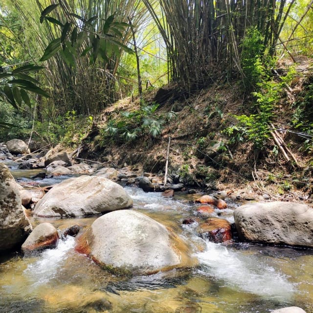 Santa Marta: Trekking in Minca Complete Waterfall Circuit - How tough is the trek, really, and what to wear